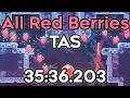 TAS Celeste All Red Berries in 35 36 203