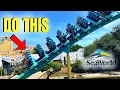 The BEST Times to Go to SeaWorld Orlando in 2026 REVEALED