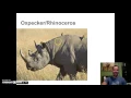 Organismal Relationsihps