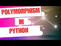 Easy-to-understand Python Polymorphism Real-world examples for quick learning