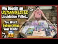 We Bought an UNMANIFESTED Liquidation Pallet You Won t Believe What Was Inside