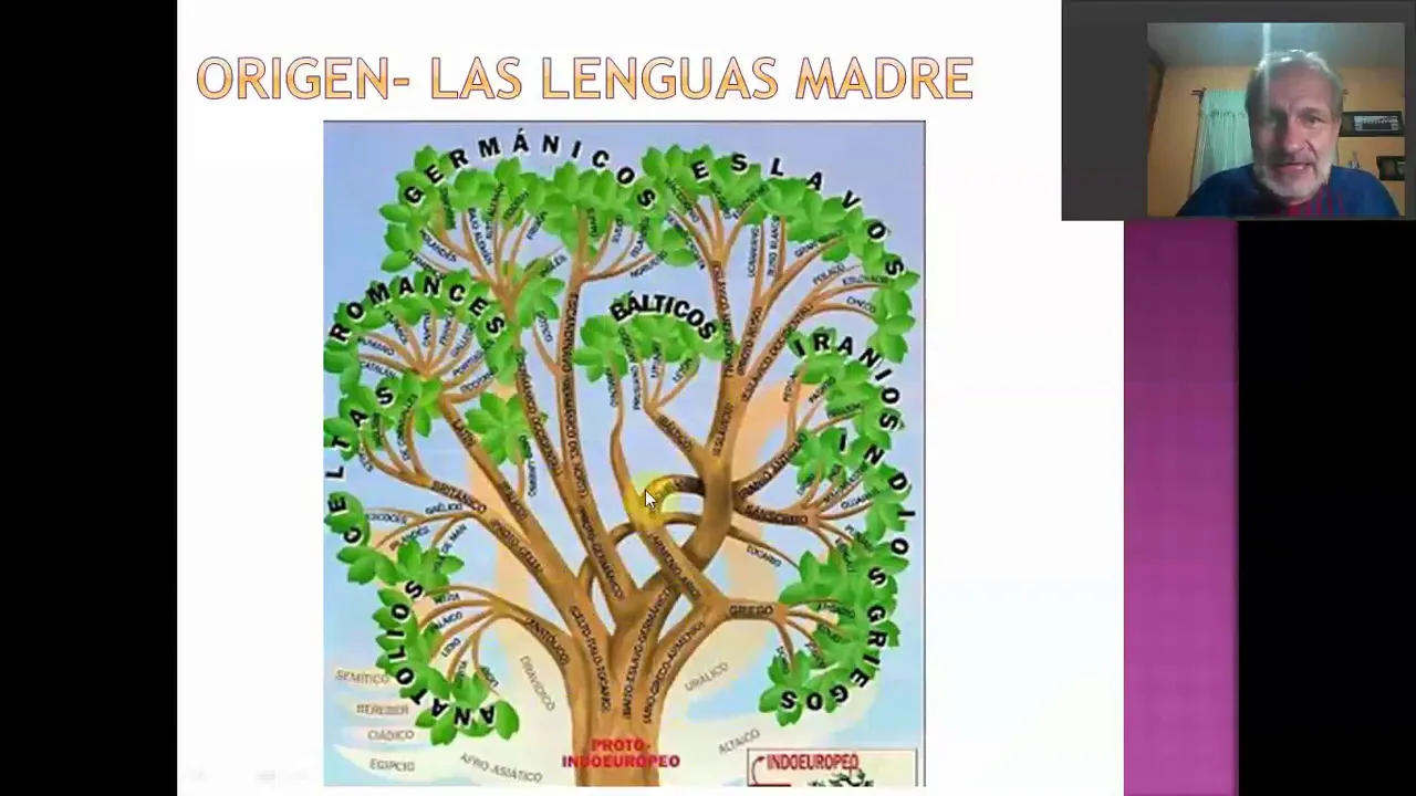 ETIMOLOGÍAS CONCEPTO Y OBJETO DEL ESTUDIO