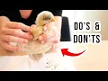 Chick With Pasty Butt Watch This FIRST Sick Chicken Remedy Dangerous Mistakes To Avoid
