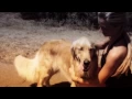 Back Around - IRATION