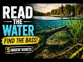 Stop Fishing Random Water Learn How to Find Bass by Reading Habitat