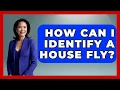 Download Lagu How Can I Identify A House Fly? - Insects and Invaders