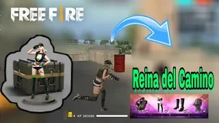 consegu el set reina del camino