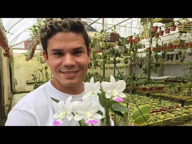 FLORAÇÃO E ADUBAÇÃO DE ORQUÍDEAS TEDESCO