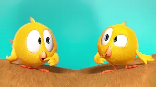 ¡Chicky y el tiovivo! | ¿Dónde está Chicky? | Dibujos Animados en Español
