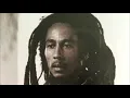 Burnin' and Looting - Bob Marley (LYRICS/LETRA) (Reggae)