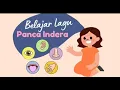 Download Lagu LAGU EMBELAJARAN PANCA INDRA (Nada lagu \