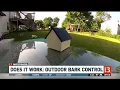 Bark Box Does It Work