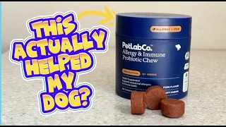 Dog Allergies FIX PetLab Probiotic Chews Review Do They Work