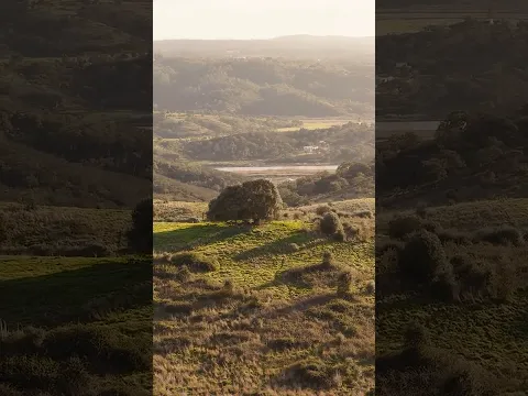 We found something ancient on our new ranch in Portugal