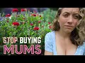 Stop Buying Potted Mums