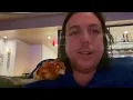Cipresso Hard rock Tampa Florida