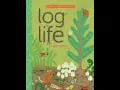 Log Life by Amy Hevron