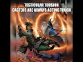 Testicular Torsion Casters