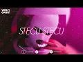 Download Lagu DJ STECU STECU - FARIS ADAM VIRAL TIKTOK (BOOTLEG) | DIASS WG