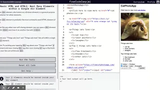 Learn Basic HTML and HTML5 Nest Many Elements within a Single div Element freeCodeCamp org 26