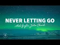 Download Lagu Alok \u0026 Gryffin - Never Letting Go (Lyrics) ft. Julia Church