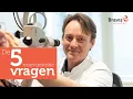 Download Lagu Tinnitus (oorsuizen) - De vijf meest gestelde vragen