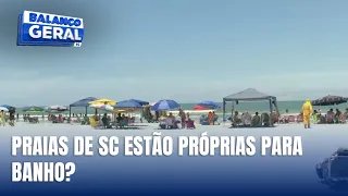 Mais de 75% das praias de Santa Catarina estão próprias para banho