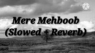 Download Mere Mehboob Qayamat Hogi Lofi Song | Mere Mehboob Qayamat Hogi (Slowed + Reverb) Song MP3