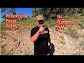 Ruidoso NM s Flood Gold At ITs Finest