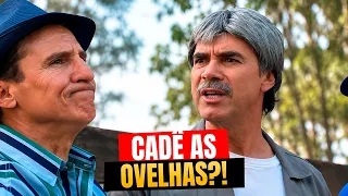 JACÓ DEIXOU AS OVELHAS NO POSTO FISCAL E SE DEU MAL! I As Trapaças de Jacó