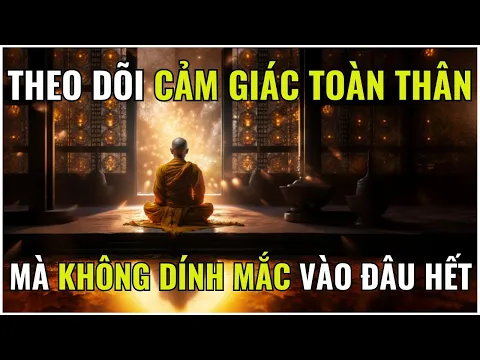 Download MP3 THEO DÕI CẢM GIÁC TOÀN THÂN MÀ KHÔNG DÍNH MẮC VÀO ĐÂU HẾT