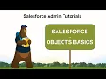 What are Objects in Salesforce Salesforce Admin Tutorial s for Beginners