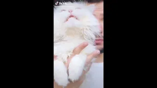 عارف مين تخن كريم عبد العزيز 