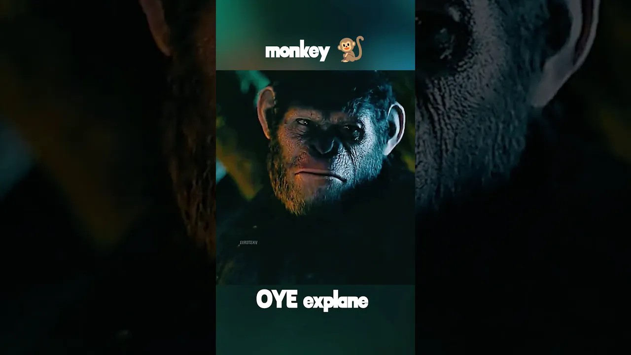 monkey #shorts
