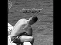 غريبي الدني