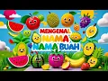 Download Lagu Belajar Mengenal Nama Buah-Buahan untuk Anak-anak Usia 3-5 Tahun!