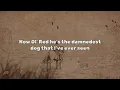 Blake Shelton - Ol’ Red / Lyrics
