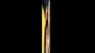 مصطفى كامل اول مرة احس 