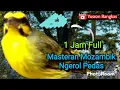 Download Lagu Masteran Mozambik ngerol Pedas