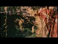 Download Lagu Mogli - Earth (Rey\u0026Kjavik Remix)