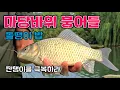 Download Lagu 마당바위 붕어낚시/토코 바닐라글루텐/와일드몬스터 슬로우찌
