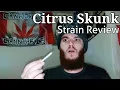 Strain Review - Citrus Skunk