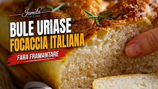 Cea mai buna focaccia fara framantare, pufoasa si plina de bule