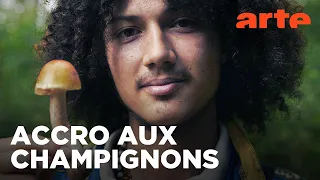 Les champignons ont la cote | Twist | ARTE