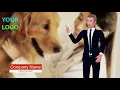 veterinarian - veterinarian salary veterinarian job duties school average salary