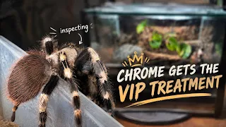 Parang nanalo ng house and lot si Chrome!