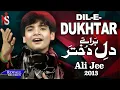 Download Lagu Ali Jee | Dil e Dukhtar | 2013 | علی جی شگفت انگیز بچه پاکستان