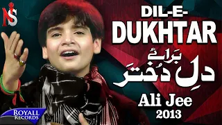 ali jee dil e dukhtar 2013