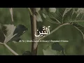 Download Lagu Surah #95 At Tin by Sheikh Khalil Al-Husary | Repeated 10x | Practise Tajweed