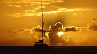 Cats & Planes in St Maarten